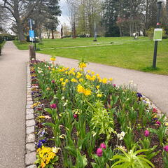 23-04-30 11-41-48 5237